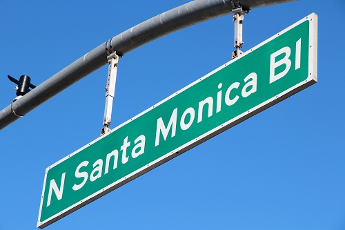 Lessons From a Street Urchin – Insights From A Bipolar Bear